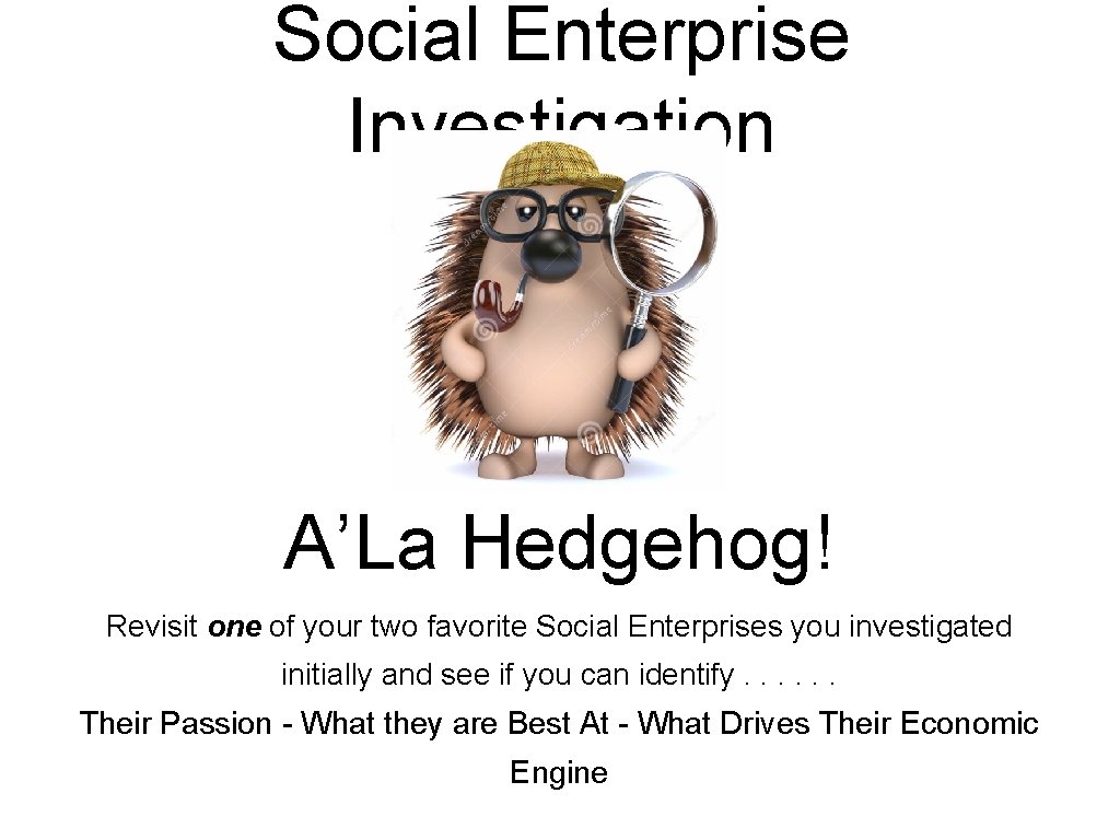 Social Enterprise Investigation A’La Hedgehog! Revisit one of your two favorite Social Enterprises you