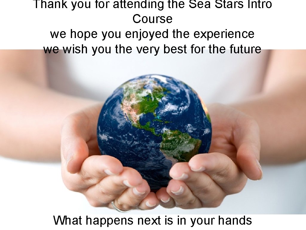 Thank you for attending the Sea Stars Intro Course we hope you enjoyed the