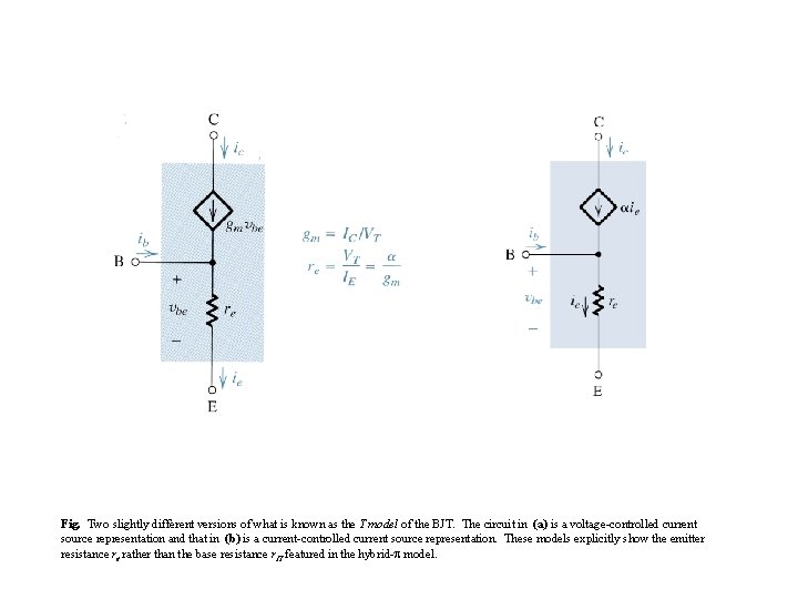 Fig. Two slightly different versions of what is known as the T model of