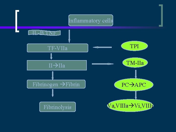 Inflammatory cells IL-B TNF TF-VIIa TPI II IIa TM-IIa Fibrinogen Fibrin PC APC Fibrinolysis