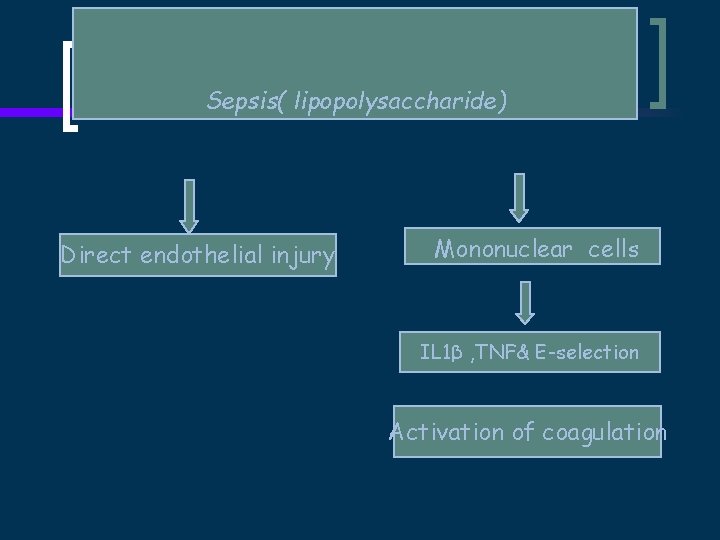 Sepsis( lipopolysaccharide) Direct endothelial injury Mononuclear cells IL 1β , TNF& E-selection Activation of