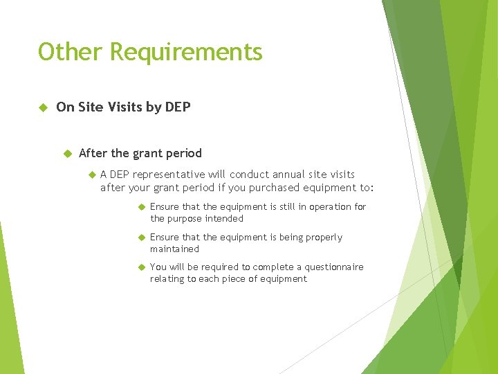 Other Requirements On Site Visits by DEP After the grant period A DEP representative