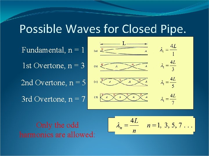 Possible Waves for Closed Pipe. Fundamental, n = 1 1 st Overtone, n =