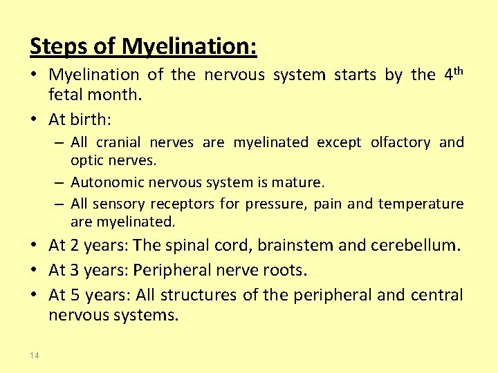 Steps of Myelination: • Myelination of the nervous system starts by the 4 th