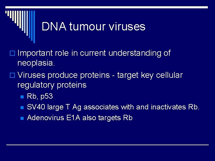 DNA tumour viruses o Important role in current understanding of neoplasia. o Viruses produce