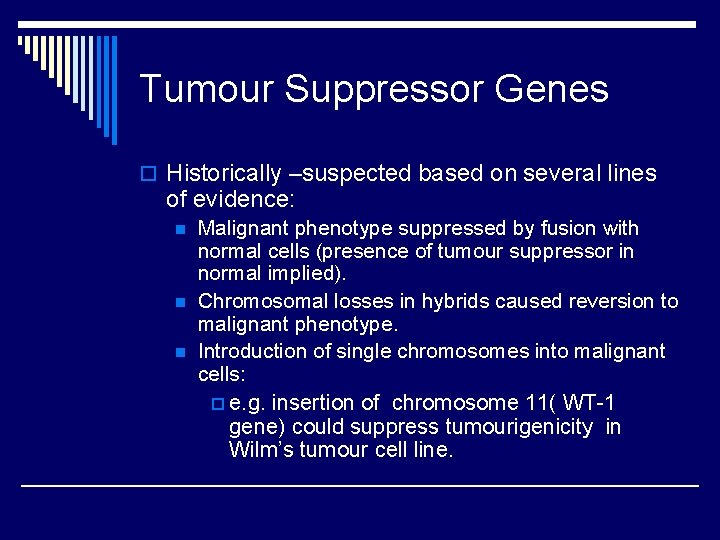 Tumour Suppressor Genes o Historically –suspected based on several lines of evidence: n n