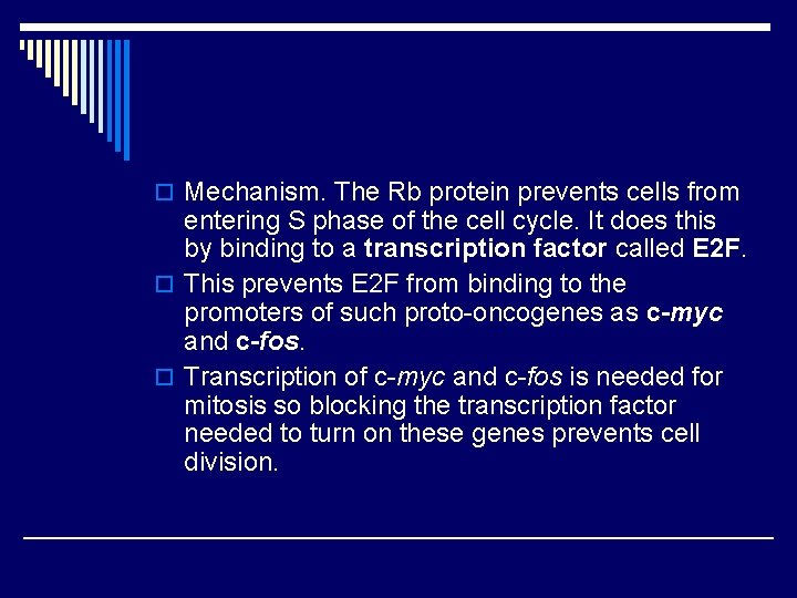 o Mechanism. The Rb protein prevents cells from entering S phase of the cell
