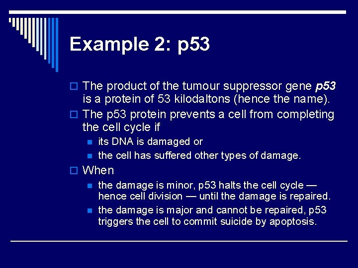 Example 2: p 53 o The product of the tumour suppressor gene p 53