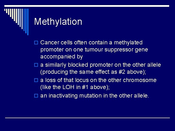 Methylation o Cancer cells often contain a methylated promoter on one tumour suppressor gene Methylation o Cancer cells often contain a methylated promoter on one tumour suppressor gene