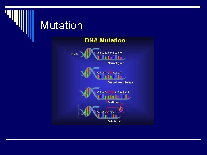 Mutation 