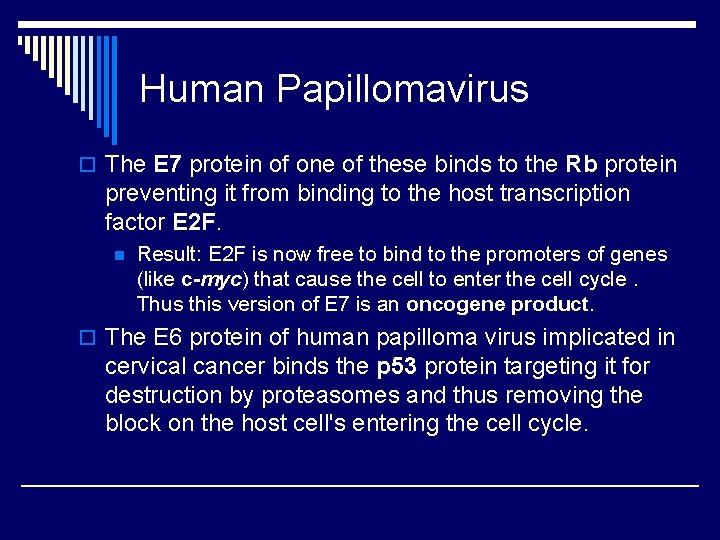 Human Papillomavirus o The E 7 protein of one of these binds to the Human Papillomavirus o The E 7 protein of one of these binds to the
