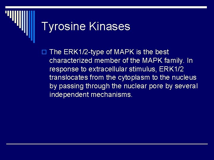 Tyrosine Kinases o The ERK 1/2 -type of MAPK is the best characterized member Tyrosine Kinases o The ERK 1/2 -type of MAPK is the best characterized member