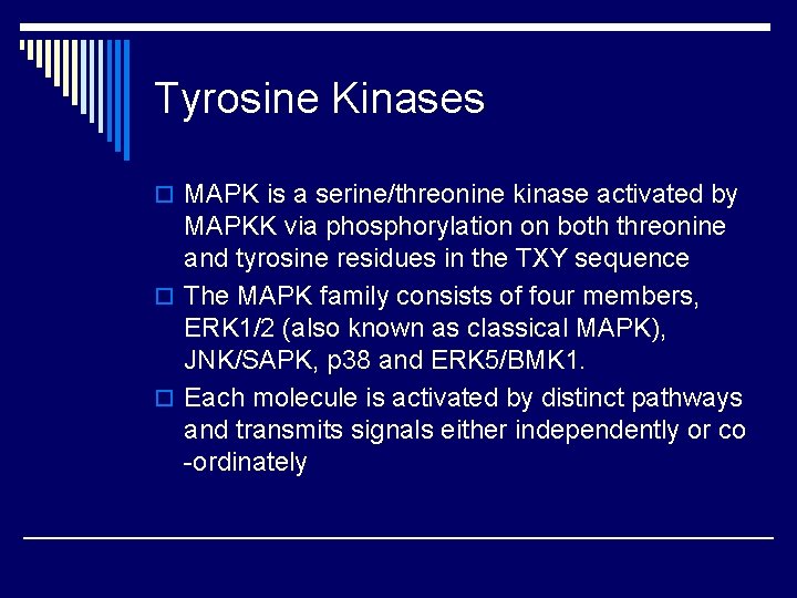 Tyrosine Kinases o MAPK is a serine/threonine kinase activated by MAPKK via phosphorylation on