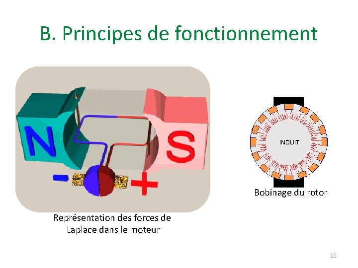 B. Principes de fonctionnement Bobinage du rotor Représentation des forces de Laplace dans le