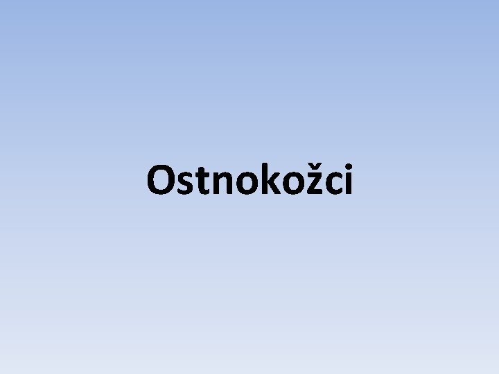 Ostnokožci 