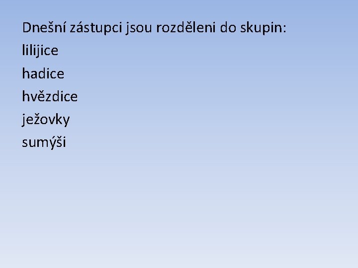 Dnešní zástupci jsou rozděleni do skupin: lilijice hadice hvězdice ježovky sumýši 