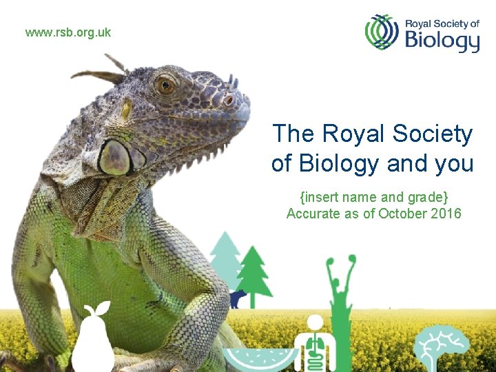 www. rsb. org. uk The Royal Society of Biology and you {insert name and