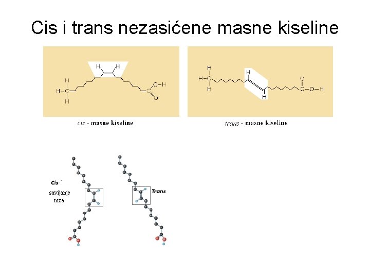 Cis i trans nezasićene masne kiseline 