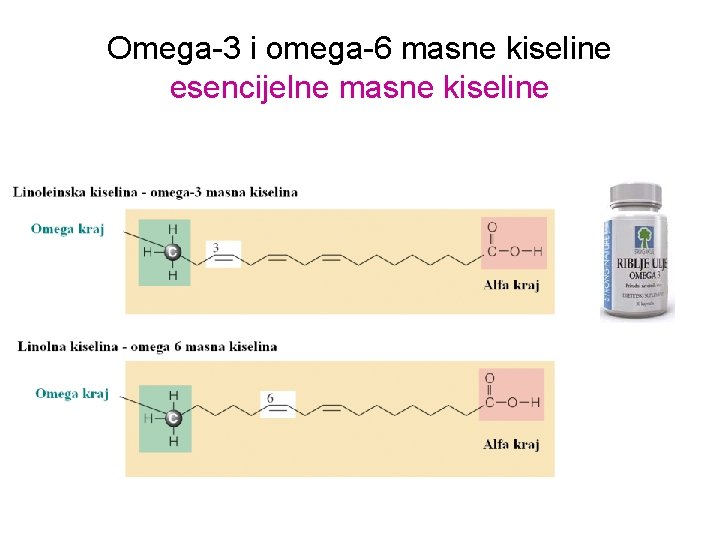 Omega-3 i omega-6 masne kiseline esencijelne masne kiseline 