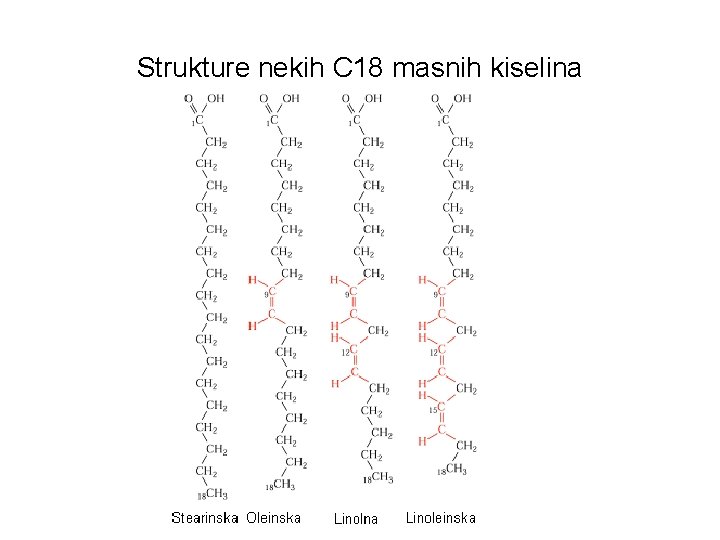 Strukture nekih C 18 masnih kiselina 