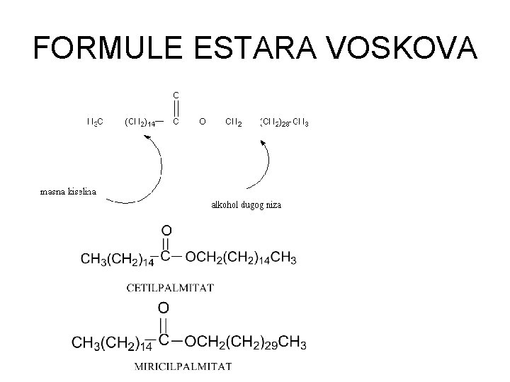 FORMULE ESTARA VOSKOVA 