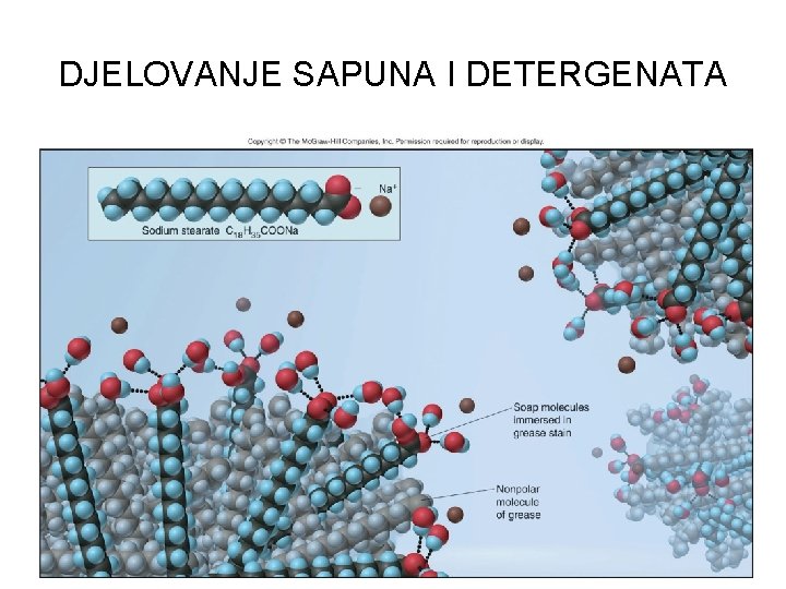 DJELOVANJE SAPUNA I DETERGENATA 