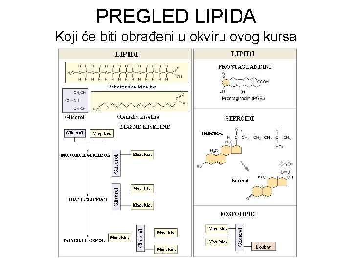 PREGLED LIPIDA Koji će biti obrađeni u okviru ovog kursa 