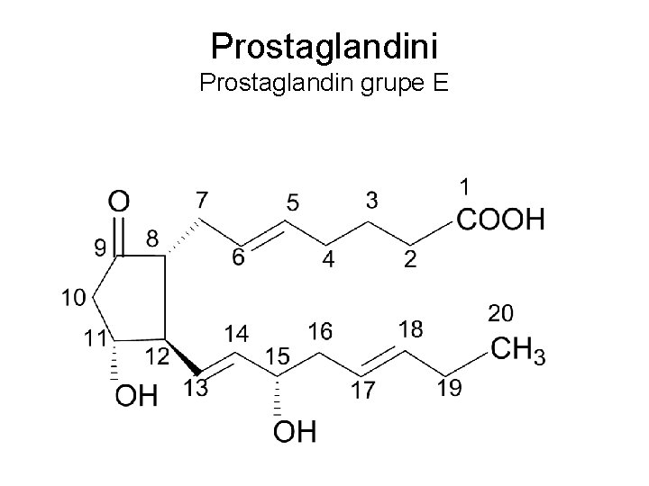 Prostaglandini Prostaglandin grupe E 