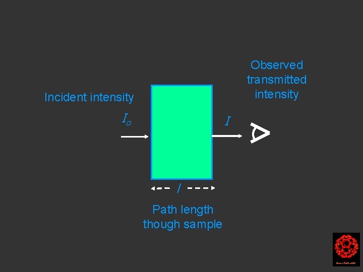 Observed transmitted intensity Incident intensity Io I l Path length though sample Harry Kroto Observed transmitted intensity Incident intensity Io I l Path length though sample Harry Kroto