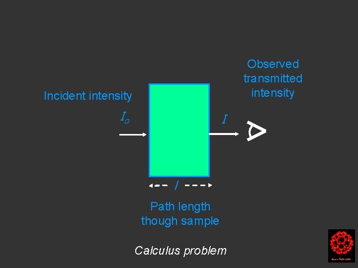 Observed transmitted intensity Incident intensity Io I l Path length though sample Calculus problem Observed transmitted intensity Incident intensity Io I l Path length though sample Calculus problem