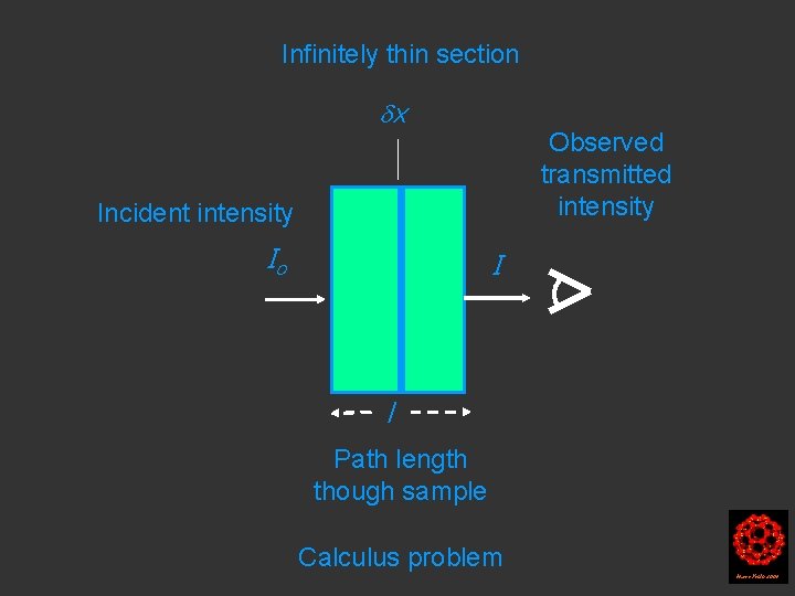 Infinitely thin section x Observed transmitted intensity Incident intensity Io I l Path length Infinitely thin section x Observed transmitted intensity Incident intensity Io I l Path length