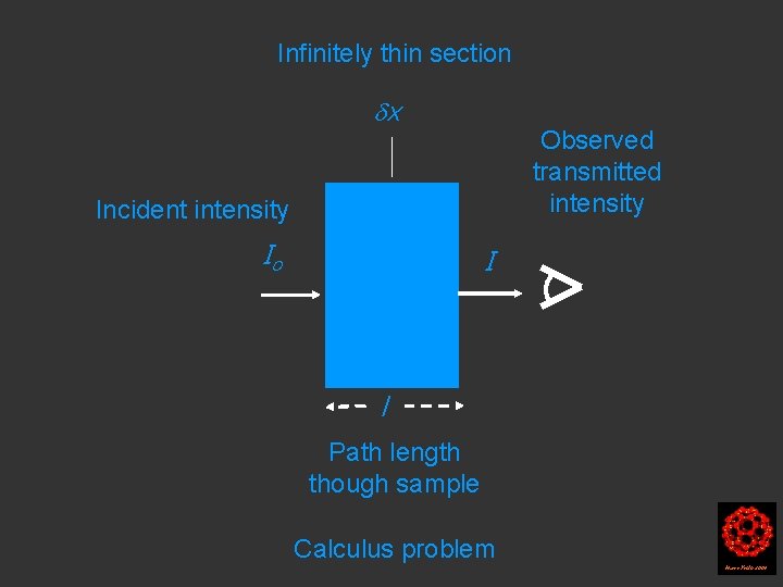 Infinitely thin section x Observed transmitted intensity Incident intensity Io I l Path length Infinitely thin section x Observed transmitted intensity Incident intensity Io I l Path length