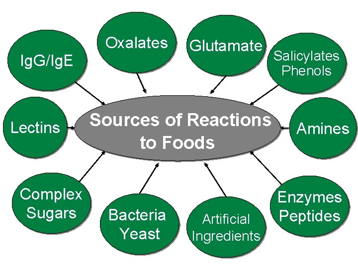 Oxalates Ig. G/Ig. E Lectins Complex Sugars Glutamate Sources of Reactions to Foods Bacteria
