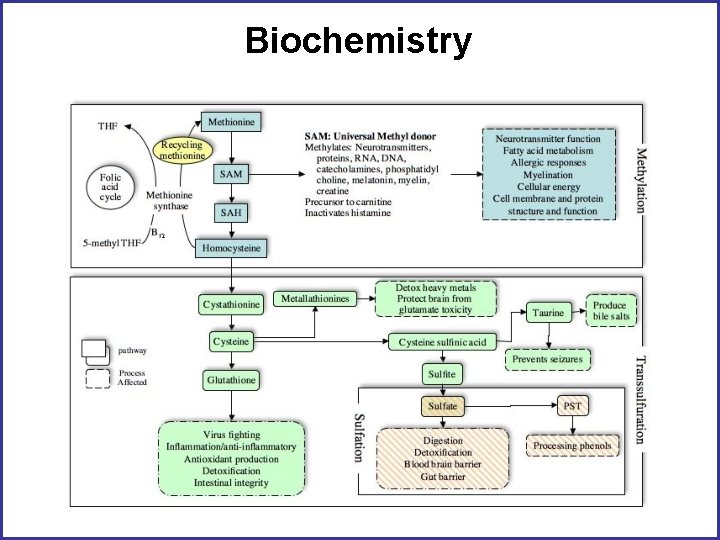 Biochemistry 