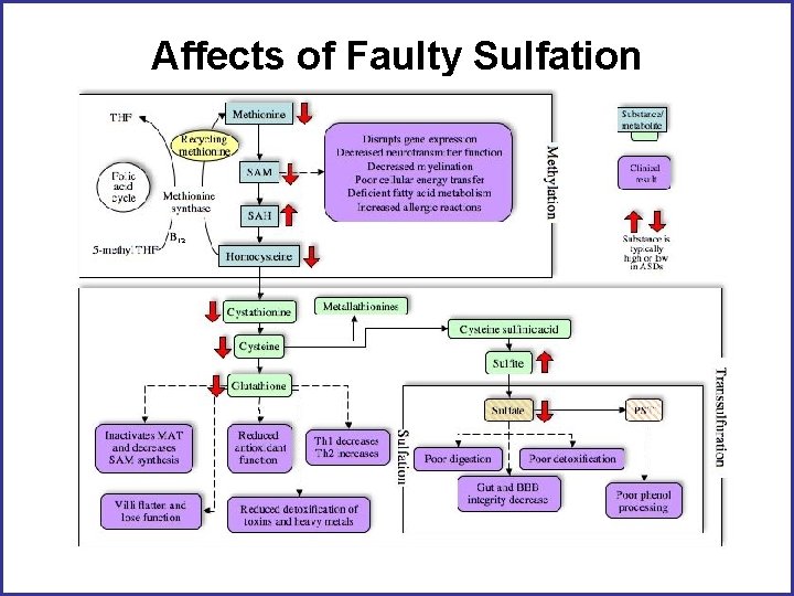 Affects of Faulty Sulfation 