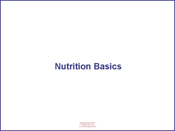 Nutrition Basics 