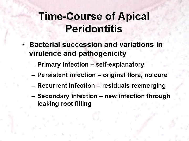 Time-Course of Apical Peridontitis • Bacterial succession and variations in virulence and pathogenicity –