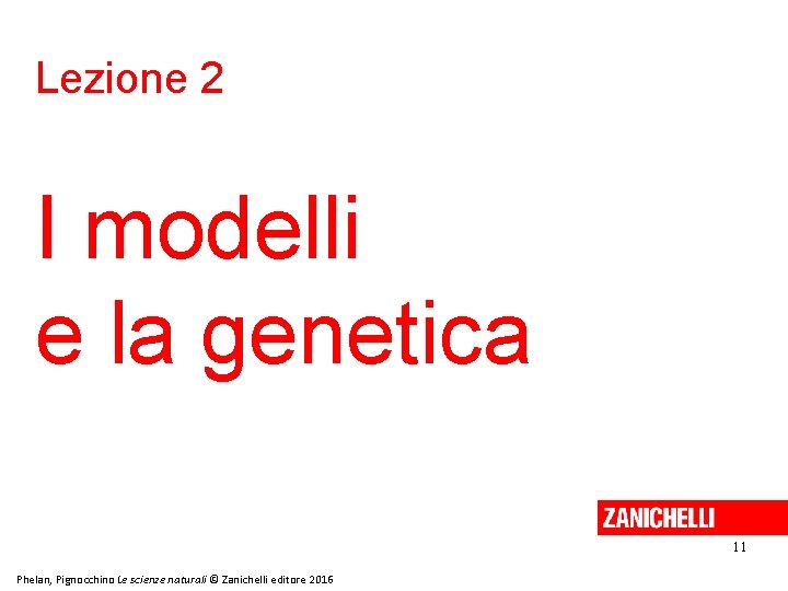 Lezione 2 I modelli e la genetica 11 Phelan, Pignocchino Le scienze naturali ©