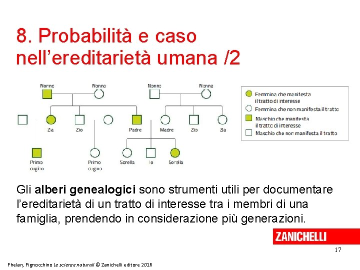 8. Probabilità e caso nell’ereditarietà umana /2 Gli alberi genealogici sono strumenti utili per