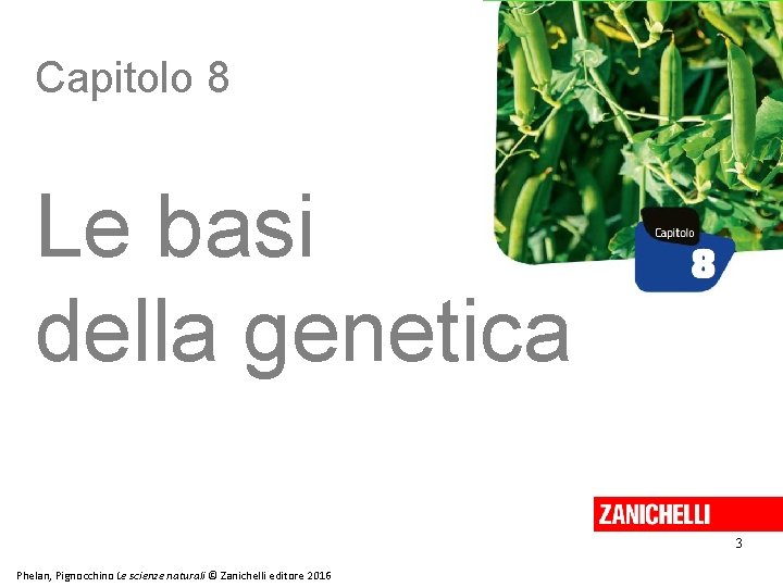 Capitolo 8 Le basi della genetica 3 Phelan, Pignocchino Le scienze naturali © Zanichelli