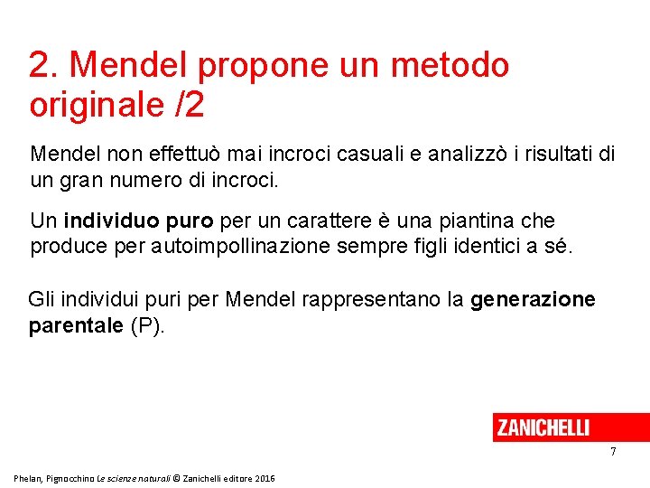 2. Mendel propone un metodo originale /2 Mendel non effettuò mai incroci casuali e