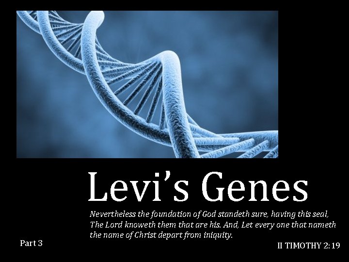 Levi’s Genes Part 3 Nevertheless the foundation of God standeth sure, having this seal,
