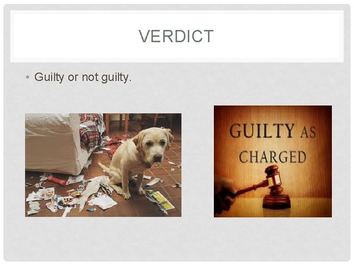 VERDICT • Guilty or not guilty. 