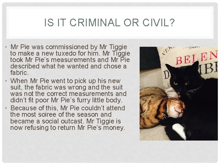 IS IT CRIMINAL OR CIVIL? • Mr Pie was commissioned by Mr Tiggie to