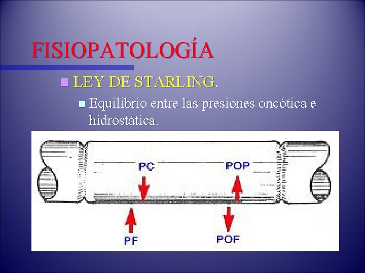 FISIOPATOLOGÍA n LEY DE STARLING. n Equilibrio entre las presiones oncótica e hidrostática. 