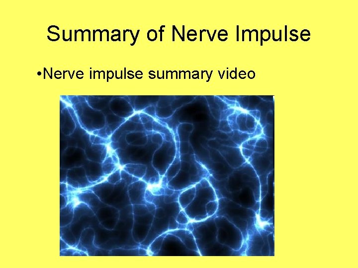 Summary of Nerve Impulse • Nerve impulse summary video 