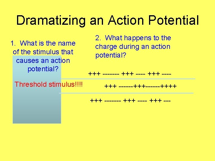 Dramatizing an Action Potential 1. What is the name of the stimulus that causes