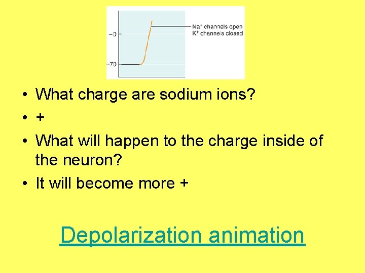  • What charge are sodium ions? • + • What will happen to