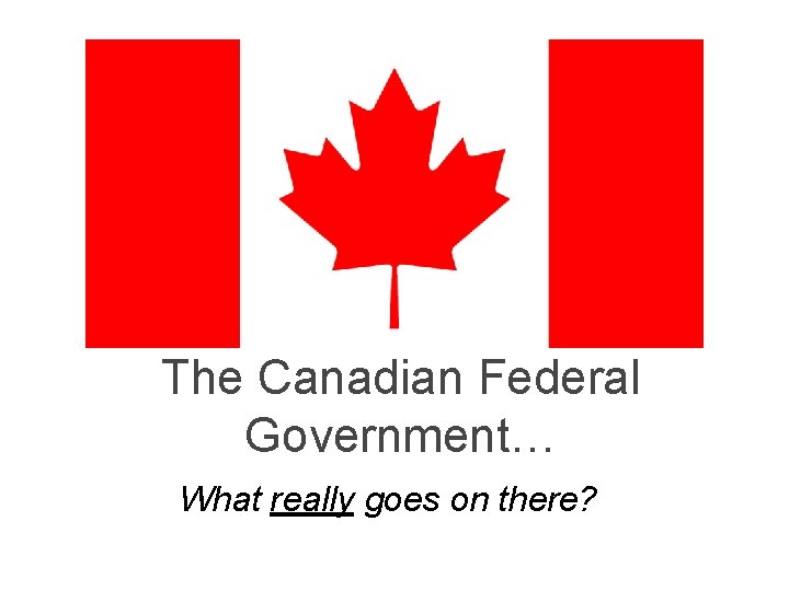The Canadian Federal Government… What really goes on there? The Canadian Federal Government… What really goes on there?