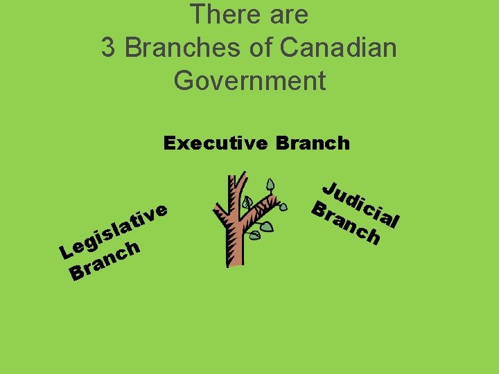 There are 3 Branches of Canadian Government Executive Branch e v i t a There are 3 Branches of Canadian Government Executive Branch e v i t a